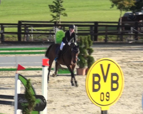 Reitturnier Kirchhellen/Stall Dieckmann 2020