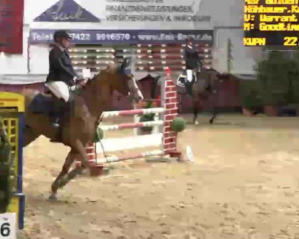 jumper Golden Boy 164 (KWPN (Royal Dutch Sporthorse), 2009, from Warrant)