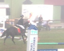 jumper Sidney 120 (unknown, 2001)