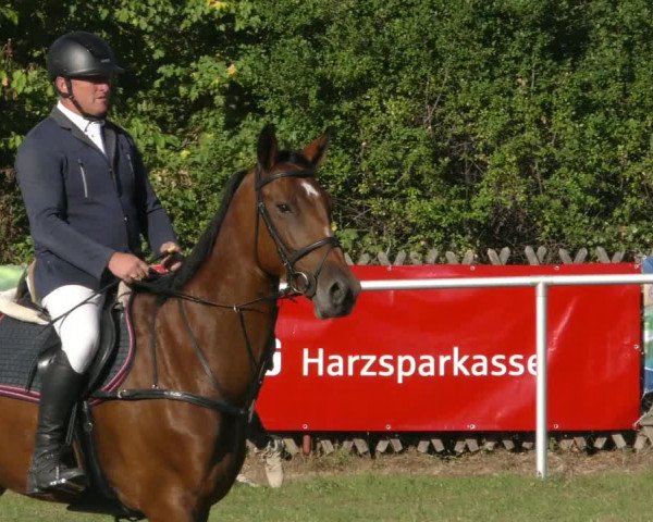 Reitturnier Wernigerode 2020