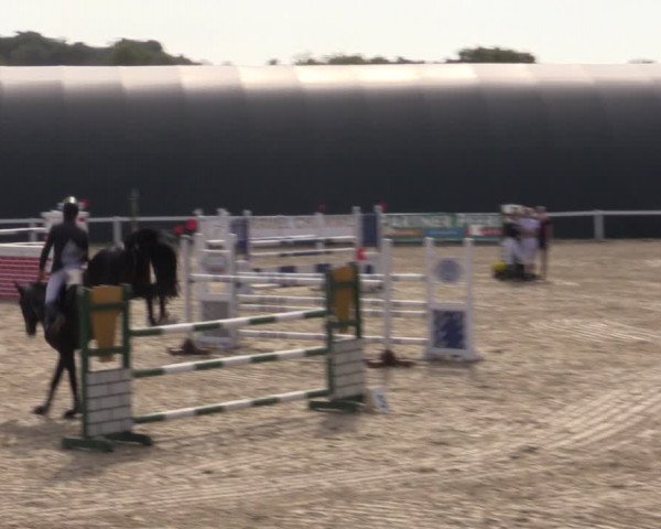 Reitturnier Bad Schmiedeberg 2020