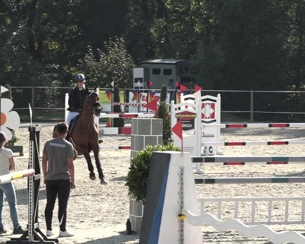 Reitturnier Winkel 2020