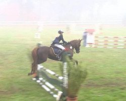 jumper Vanessa 221 (unknown, 2003)