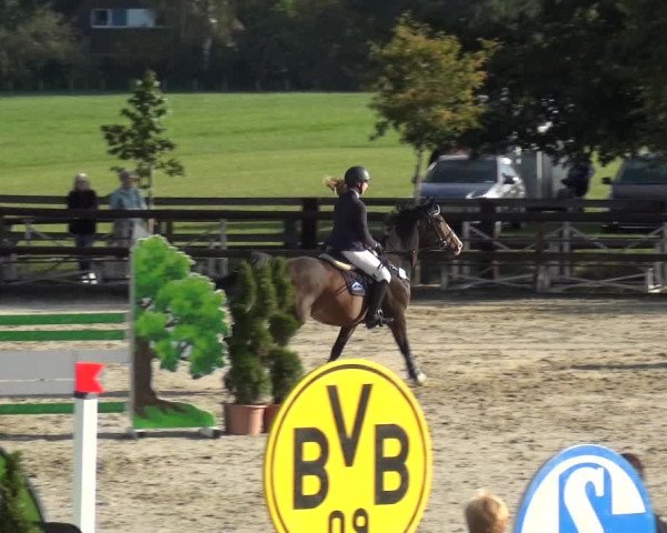 Reitturnier Kirchhellen/Stall Dieckmann 2020