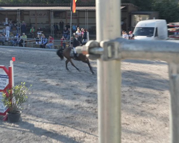 Reitturnier Nesselröden 2020
