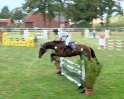 jumper Quentin 119 (Bulgarian Warmblood, 2009, from Quintender 2)