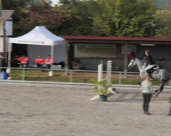 Reitturnier Nesselröden 2020