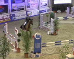 Caballo de salto Airmax (Oldenburgués, 2009, de Ashby 4)