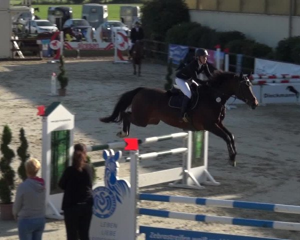 Reitturnier Kirchhellen/Stall Dieckmann 2020