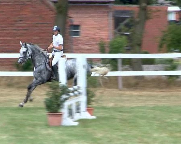 jumper Andjela (Bulgarian Warmblood, 2009, from Demet - Apokalipsis)