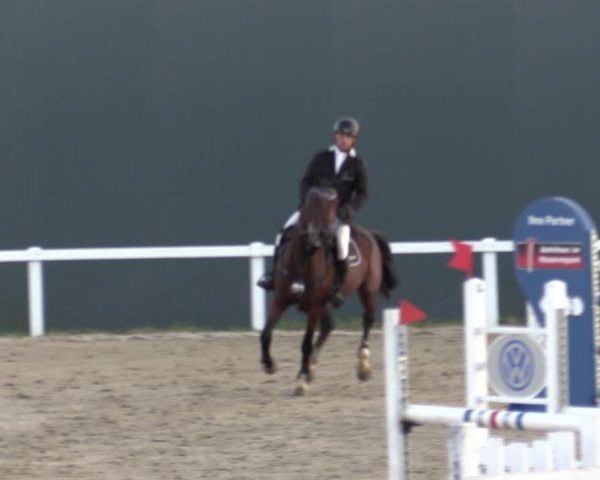 Reitturnier Bad Schmiedeberg 2020