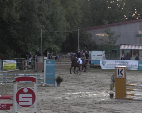 Reitturnier Albersloh 2020