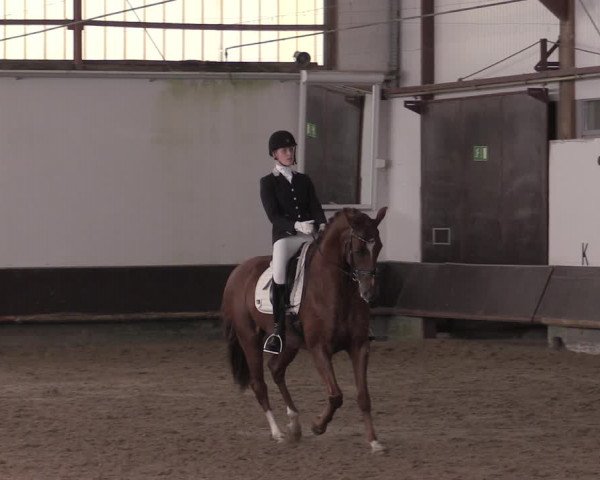 Reitturnier Albersloh 2020