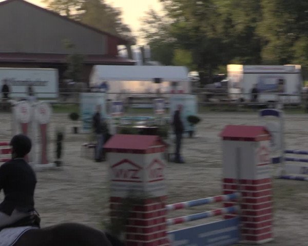 Reitturnier Albersloh 2020