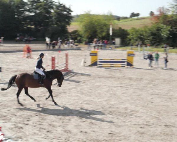 Reitturnier Nesselröden 2020