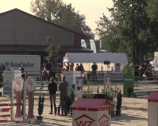 Reitturnier Albersloh 2020