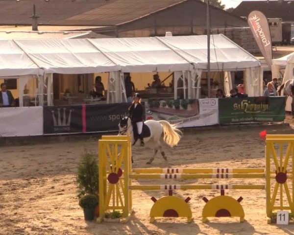 jumper Pialotta 77 (German Riding Pony, 2002, from Top Pepino)
