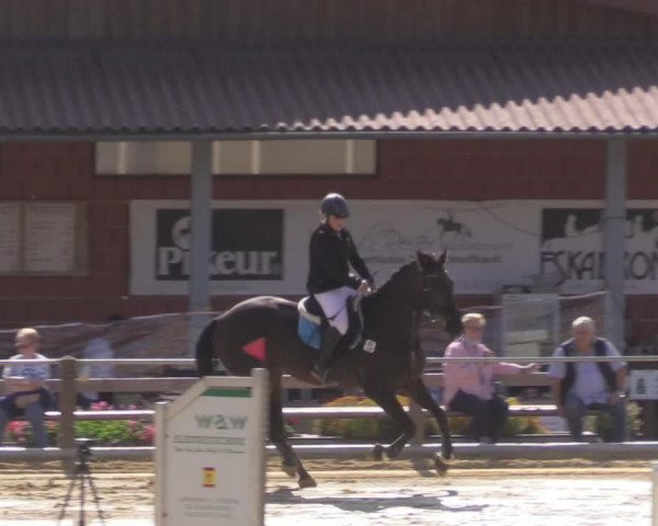 Reitturnier Uder, Reitanlage Kobold 2020