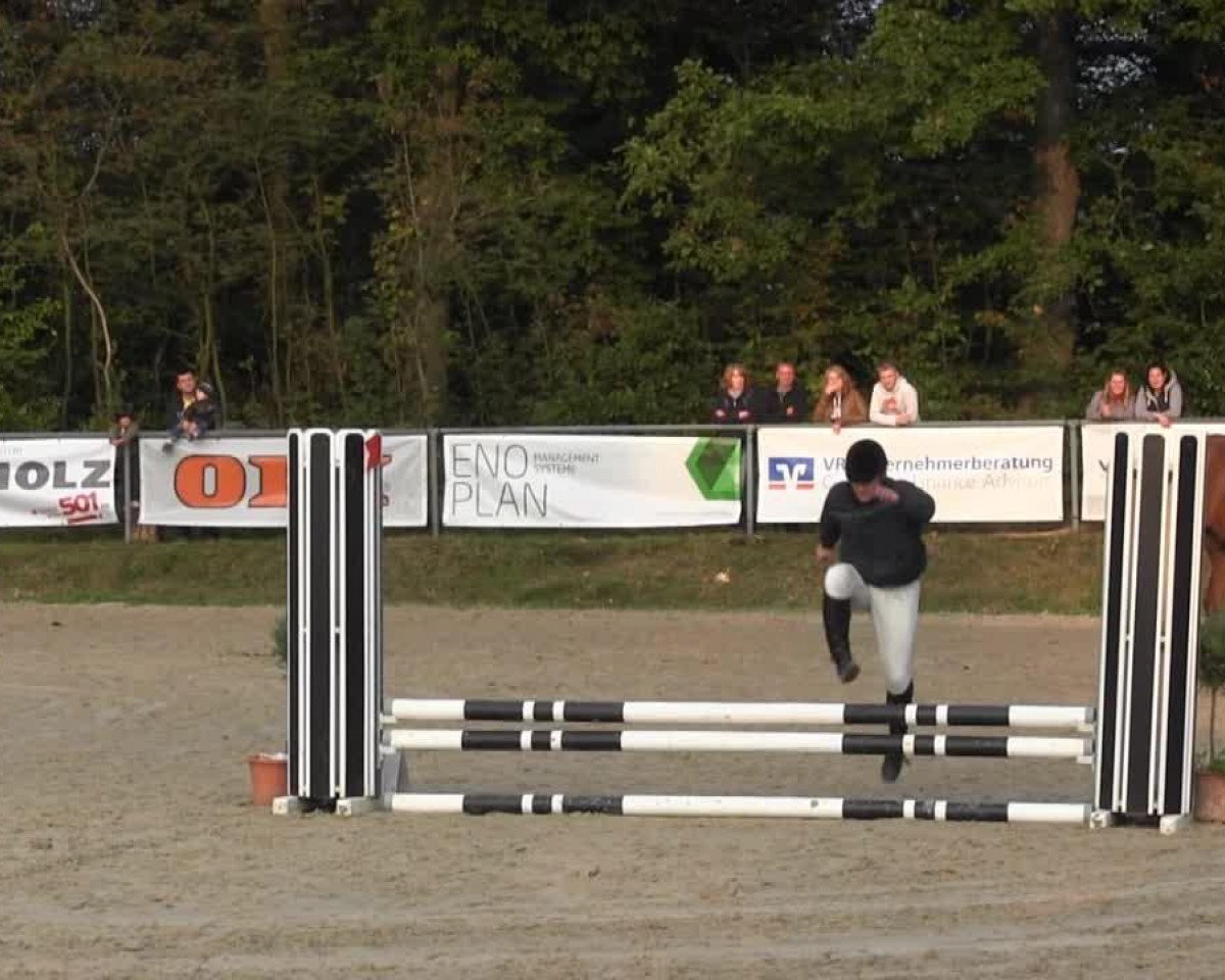 Deckhengst Dornfelder (unbekannt,  )