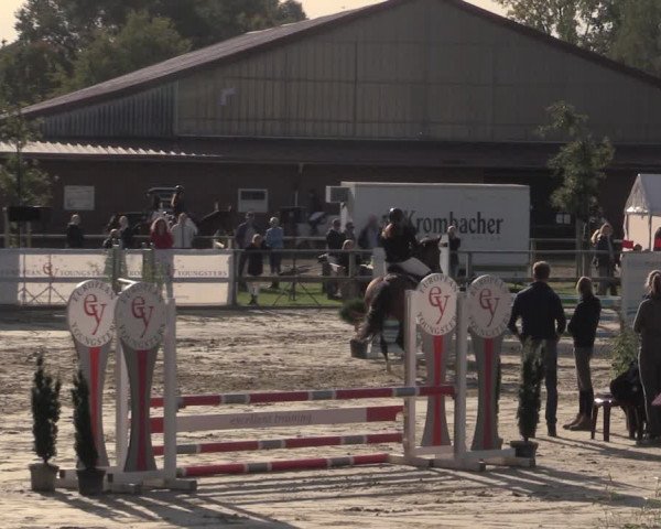 Reitturnier Albersloh 2020