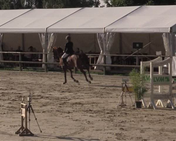 Reitturnier Albersloh 2020