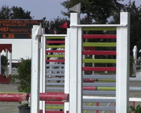 jumper Rotzlöffel 2 (Westphalian, 2005, from Aix la Capella)