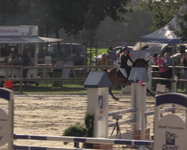 Reitturnier Albersloh 2020