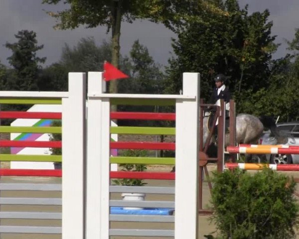 jumper Castella 77 (Holsteiner, 2009, from Cassaro 5)