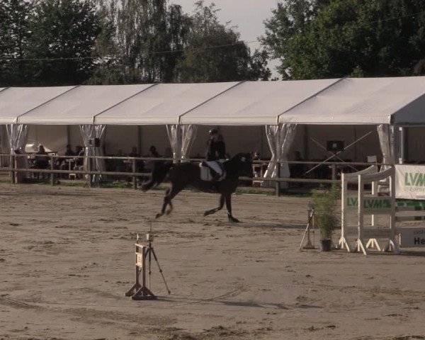 Reitturnier Albersloh 2020