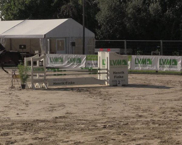Reitturnier Albersloh 2020