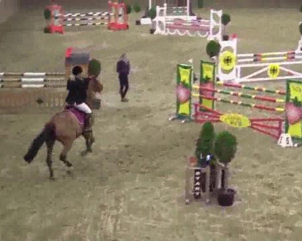 Ogier kryjący Formel Eins 10 (Niemiecki Koń Sportowy, 2008, od Callistus)