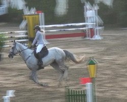 Zuchtstute Dioba (KWPN (Niederländisches Warmblut), 2008, von Berlin)