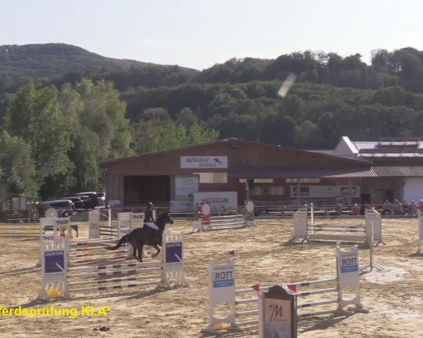 Reitturnier Uder, Reitanlage Kobold 2020