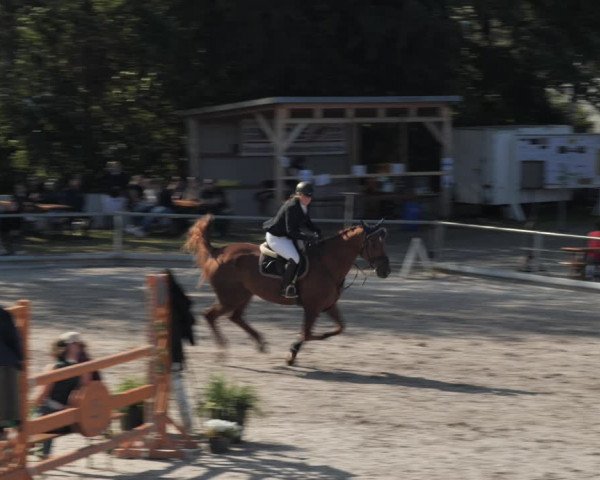 Reitturnier Nesselröden 2020