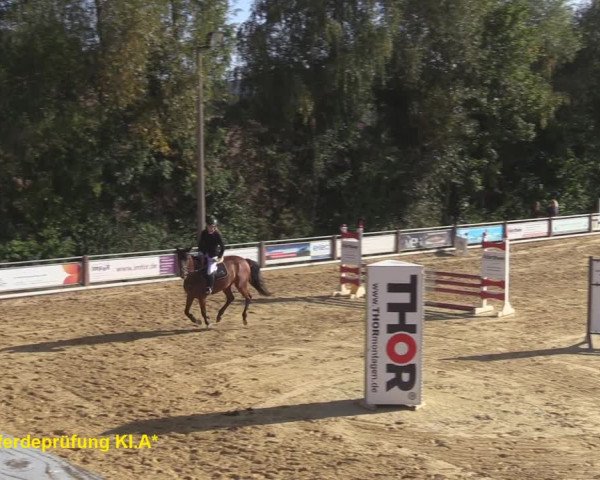 Reitturnier Uder, Reitanlage Kobold 2020