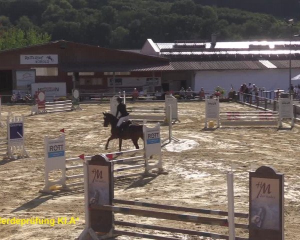 Reitturnier Uder, Reitanlage Kobold 2020