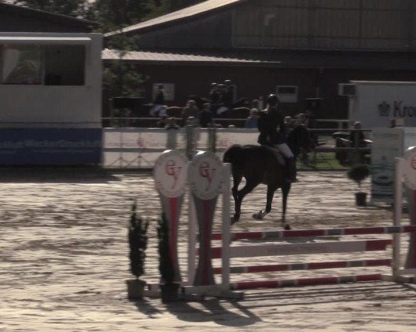 Reitturnier Albersloh 2020