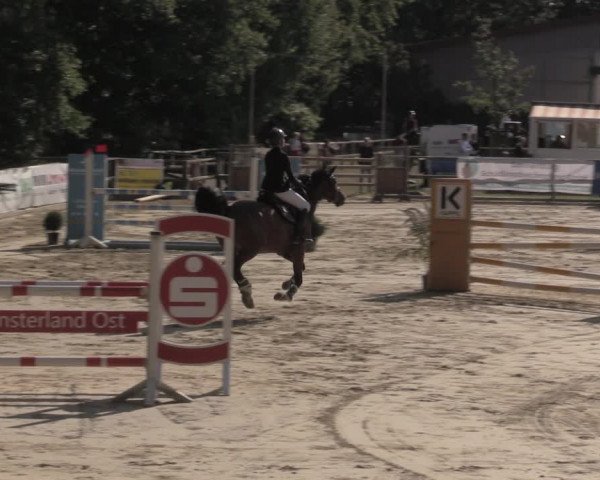 Reitturnier Albersloh 2020