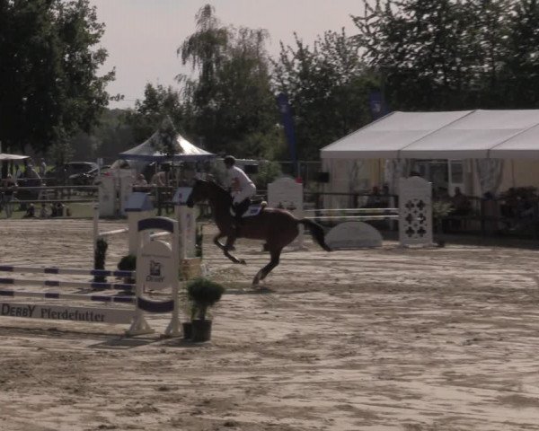 Reitturnier Albersloh 2020