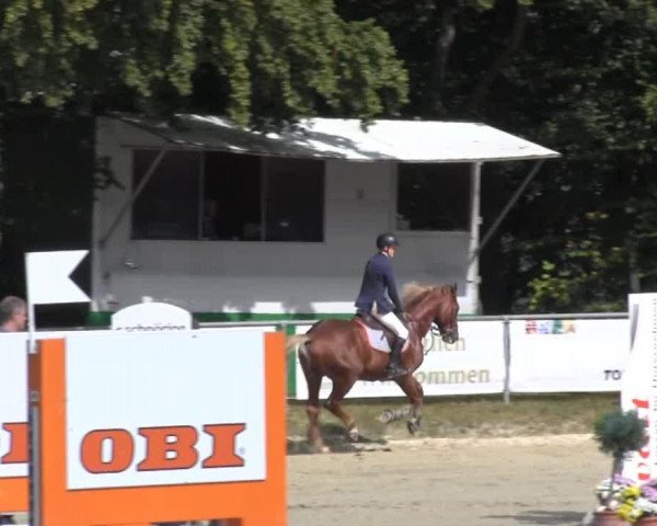 jumper Wally 120 (KWPN (Royal Dutch Sporthorse), 2003, from Guidam)