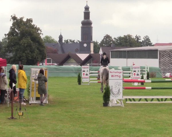 Reitturnier Altmittweida 2021
