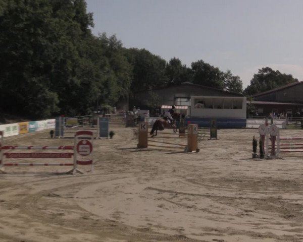 Reitturnier Albersloh 2020