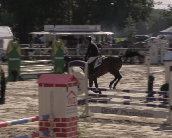 Reitturnier Albersloh 2020