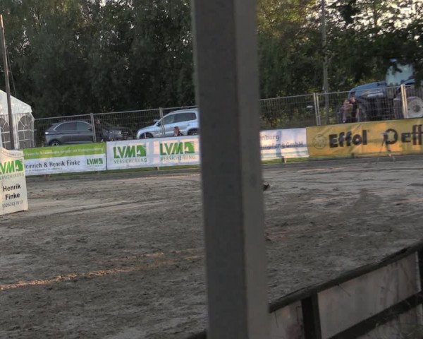 Reitturnier Albersloh 2020