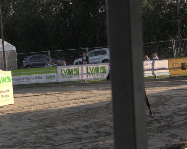 Reitturnier Albersloh 2020