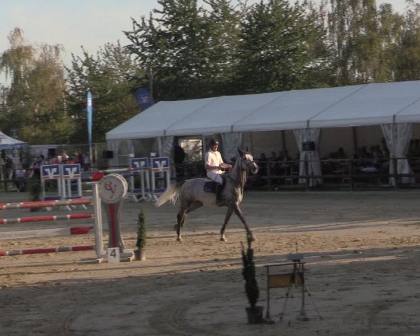Reitturnier Albersloh 2020