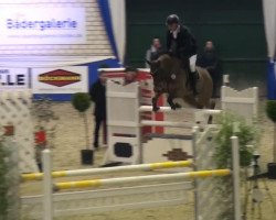 jumper Jaffa 8 (Oldenburg, 2008)