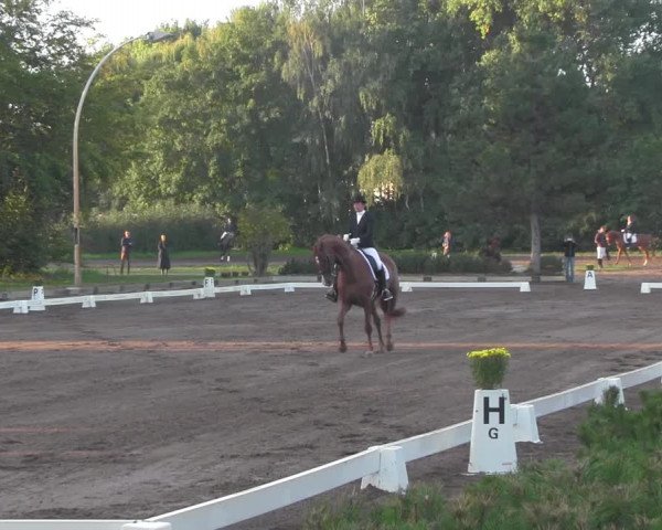 Reitturnier Dallgow 2020