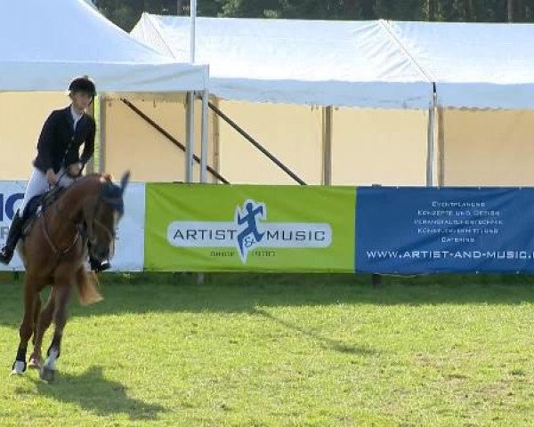 broodmare Centalouette (Oldenburg show jumper, 2008, from Centadel)