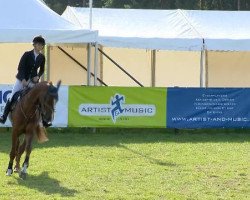 broodmare Centalouette (Oldenburg show jumper, 2008, from Centadel)